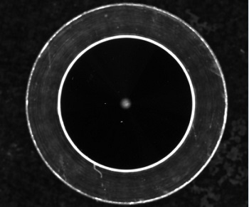 16191399235039350