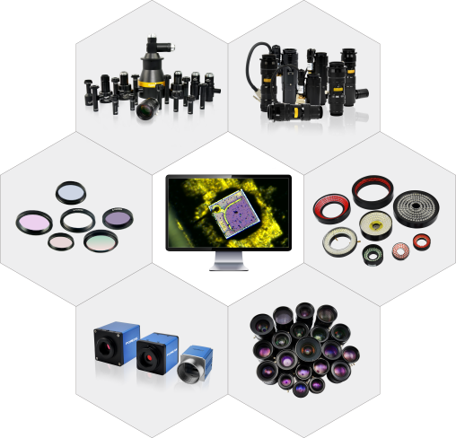 BC.Game(中国)有限公司-官方网站