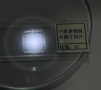 BC.Game(中国)有限公司-官方网站