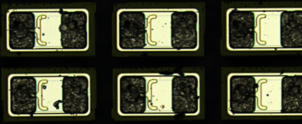 image_QMS1aQG
