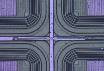image_Z4SOCOj