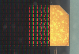 image_4mqx4gf